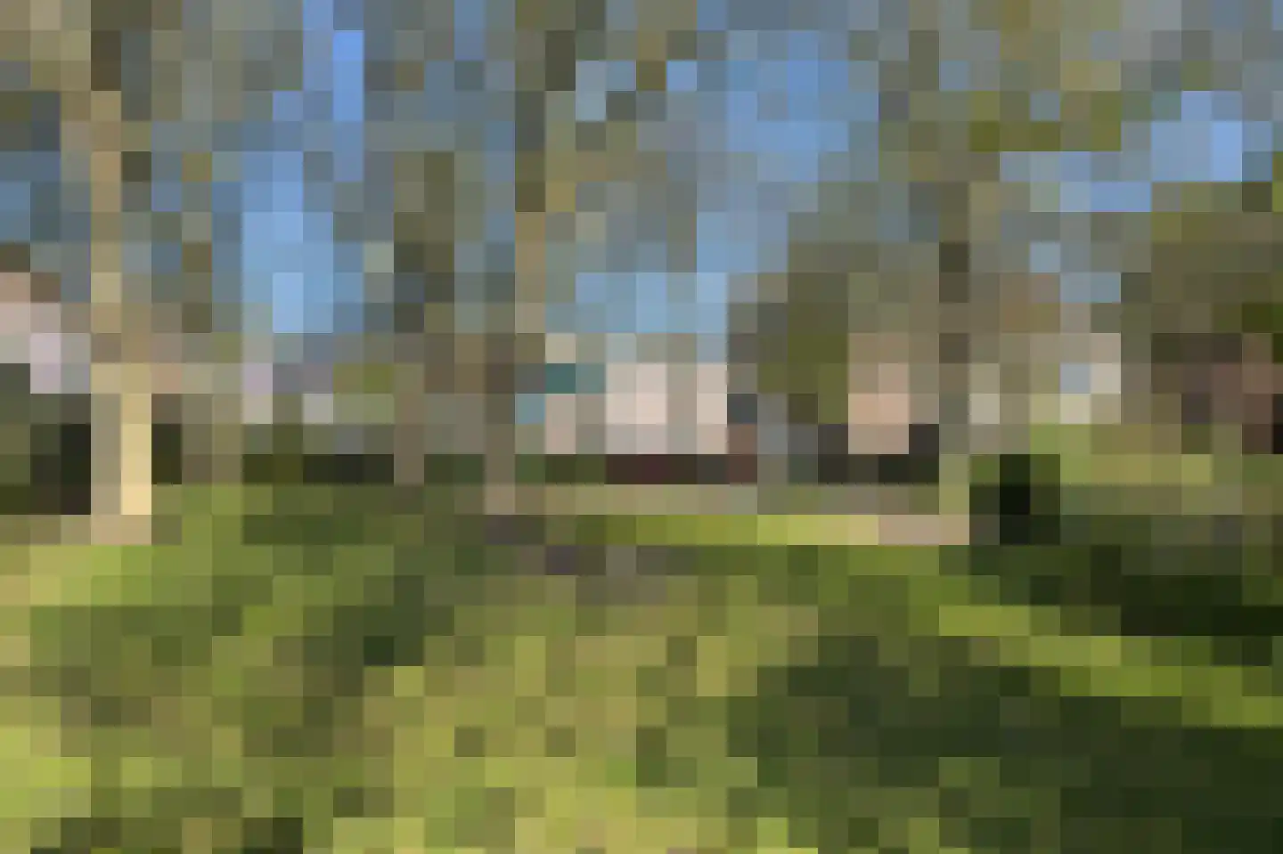 Wilsonsplein 8 Haarlem thumbnail 50