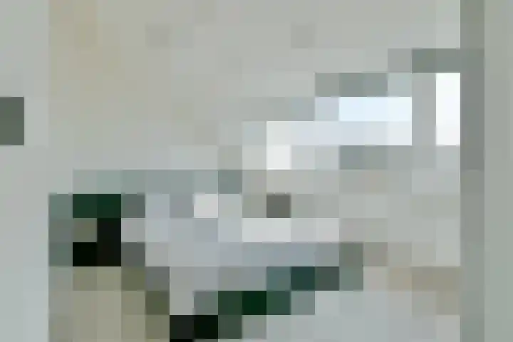 Wilsonstraat 127 Hoofddorp thumbnail 31