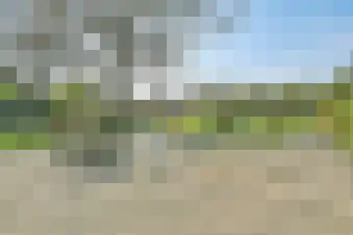 Wilsonstraat 127 Hoofddorp thumbnail 41