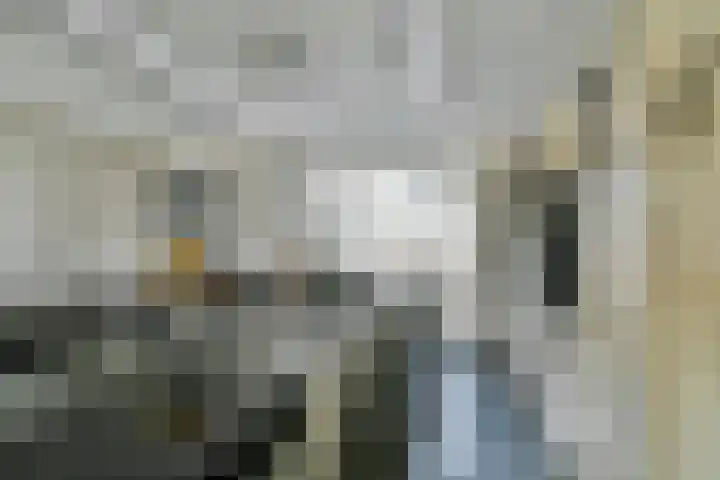 Wilsonstraat 127 Hoofddorp thumbnail 5