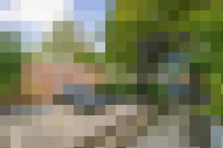 Wilsonstraat 170 Hoofddorp thumbnail 28