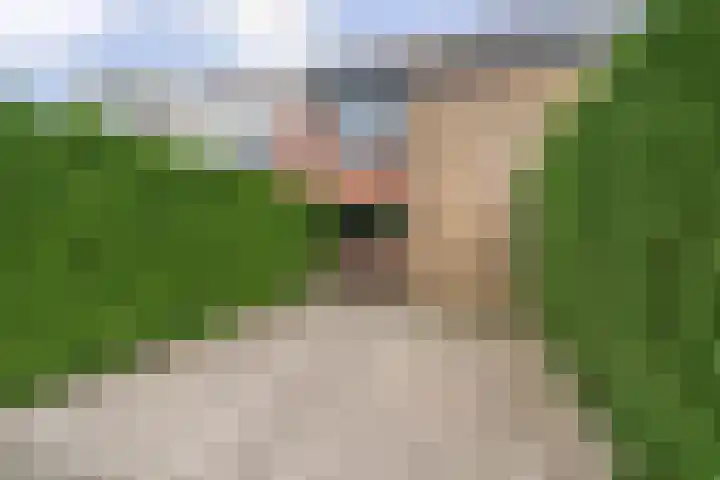 Wilsonstraat 170 Hoofddorp thumbnail 35