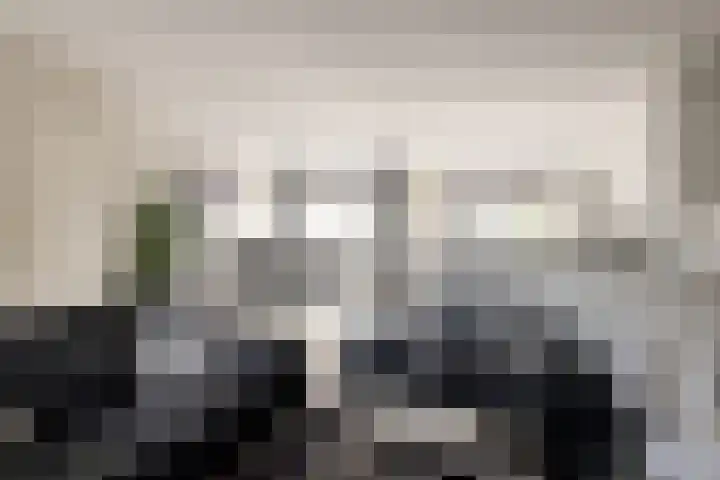 Wilsonstraat 175 Hoofddorp thumbnail 12
