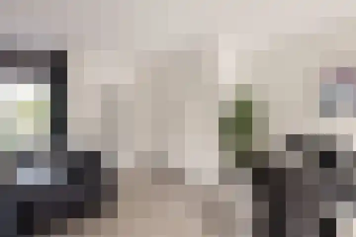 Wilsonstraat 175 Hoofddorp thumbnail 17