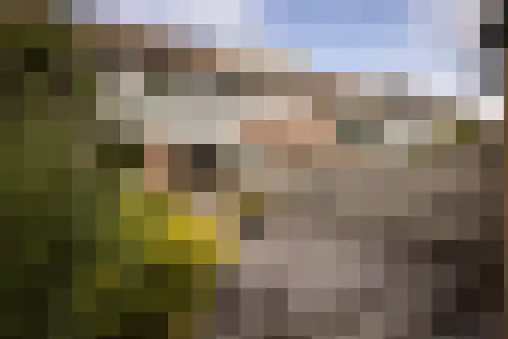 Wilsonstraat 175 Hoofddorp thumbnail 18