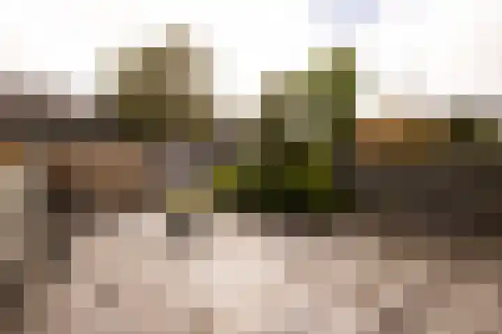 Wilsonstraat 175 Hoofddorp thumbnail 20