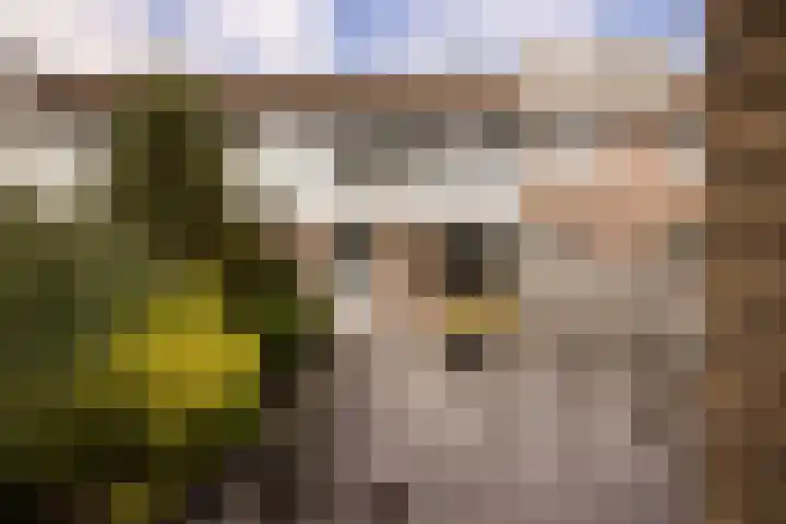 Wilsonstraat 175 Hoofddorp thumbnail 5