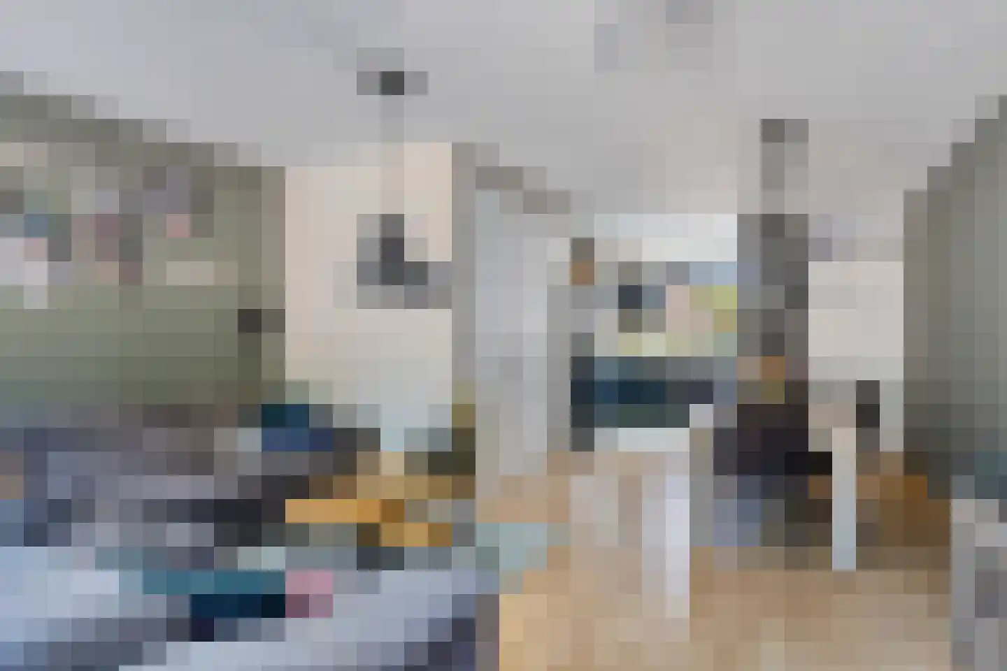 Wilsonstraat 18 Goes thumbnail 10