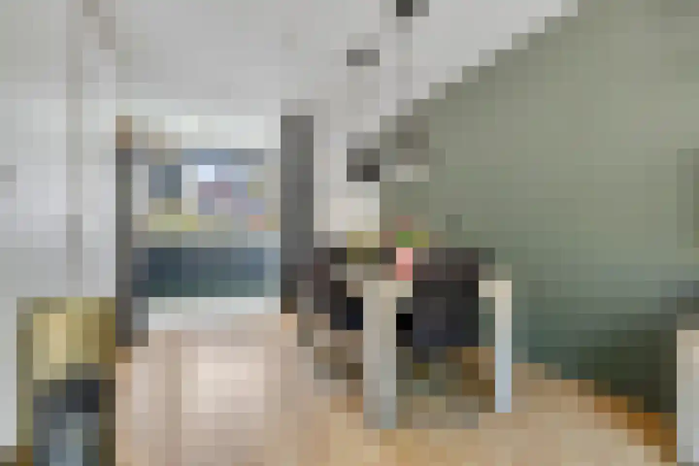 Wilsonstraat 18 Goes thumbnail 11