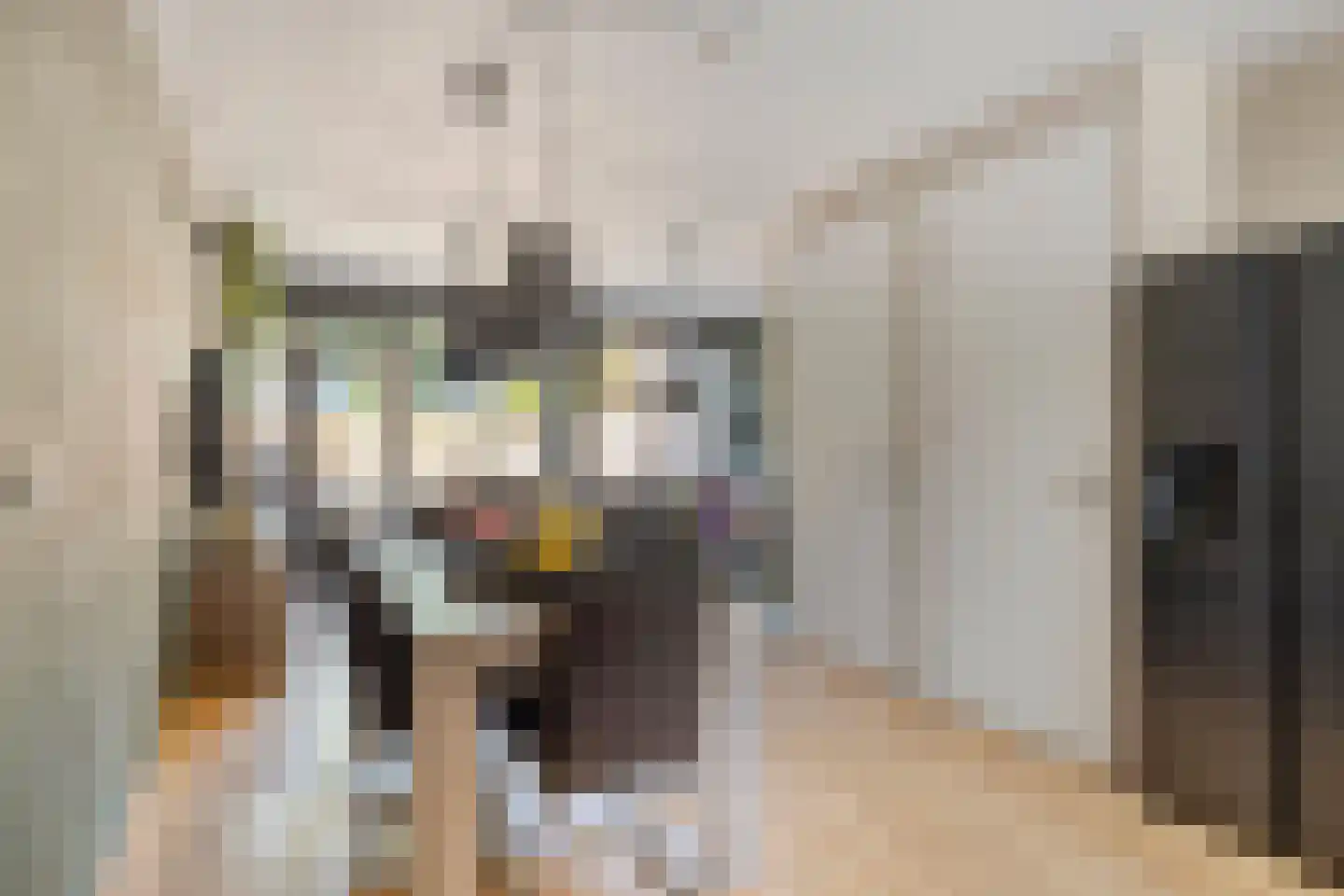 Wilsonstraat 18 Goes thumbnail 12