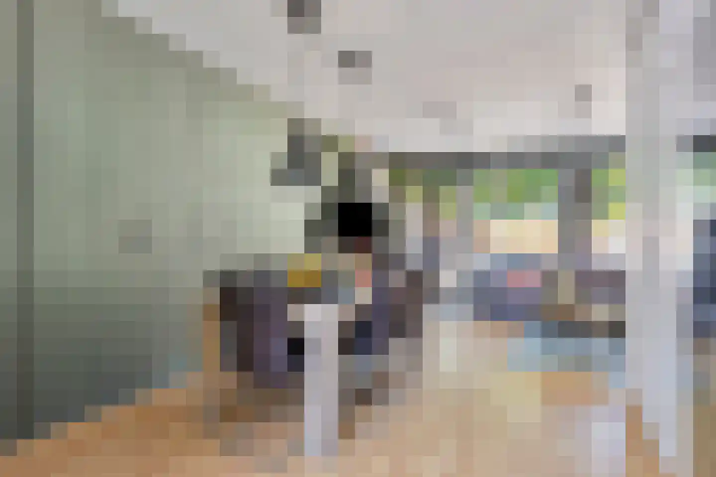Wilsonstraat 18 Goes thumbnail 13