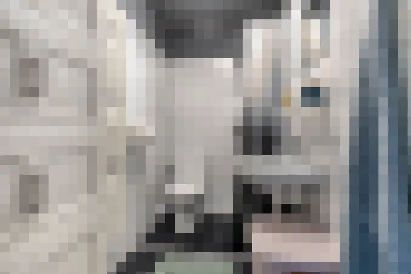 Wilsonstraat 18 Goes thumbnail 22