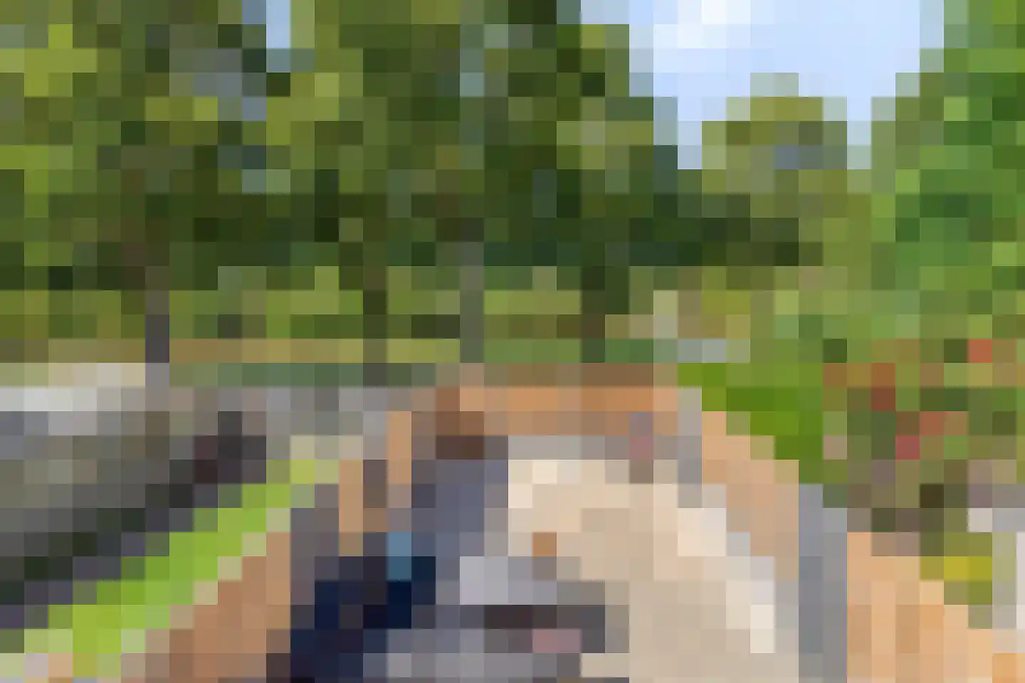 Wilsonstraat 18 Goes thumbnail 31