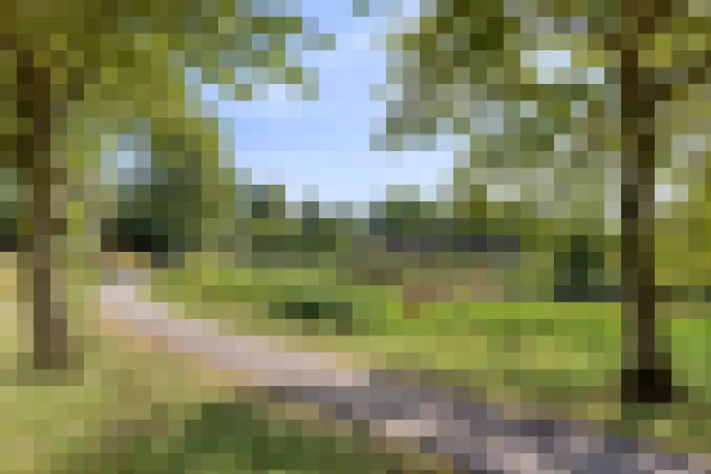 Wilsonstraat 18 Goes thumbnail 4