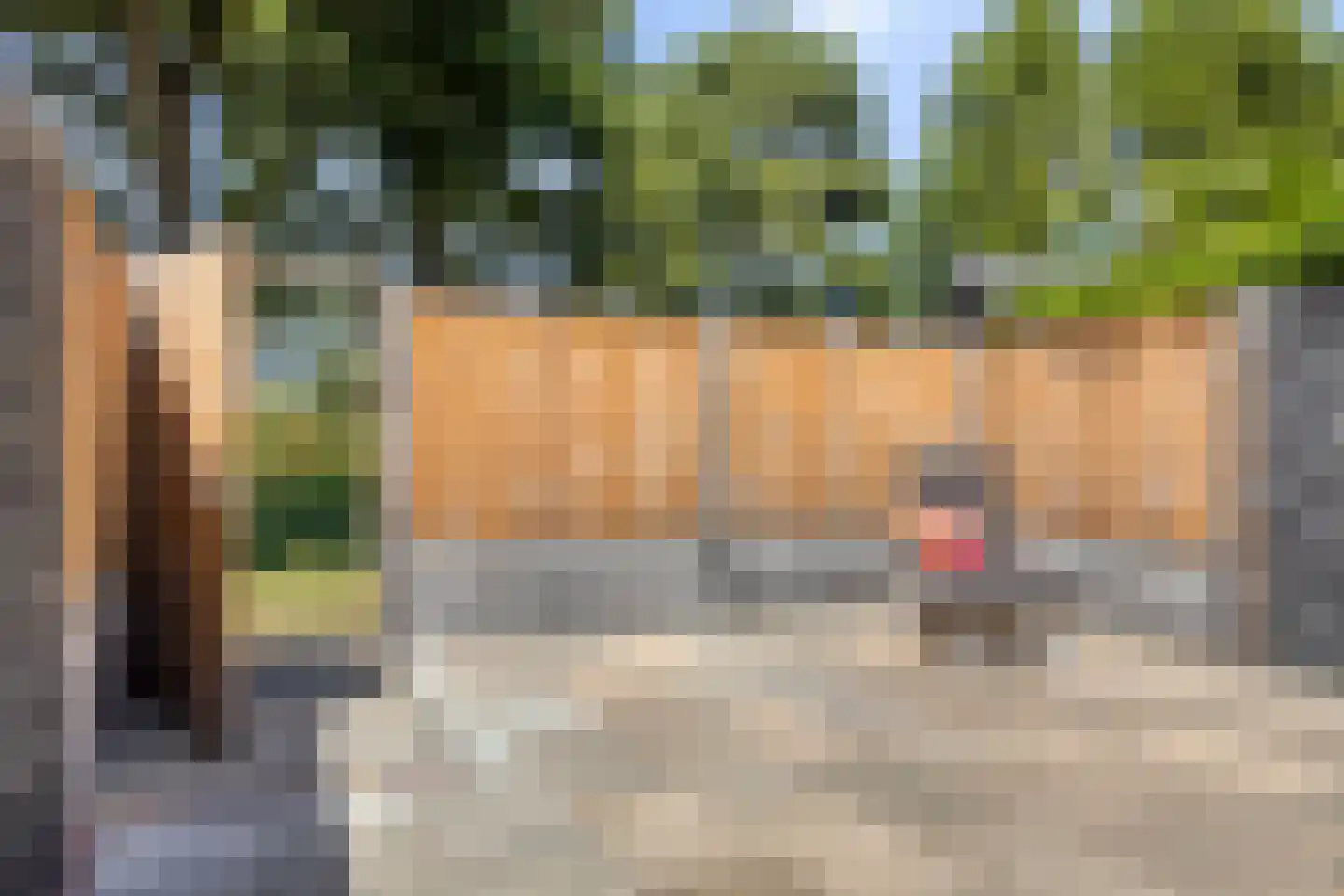Wilsonstraat 18 Goes thumbnail 40