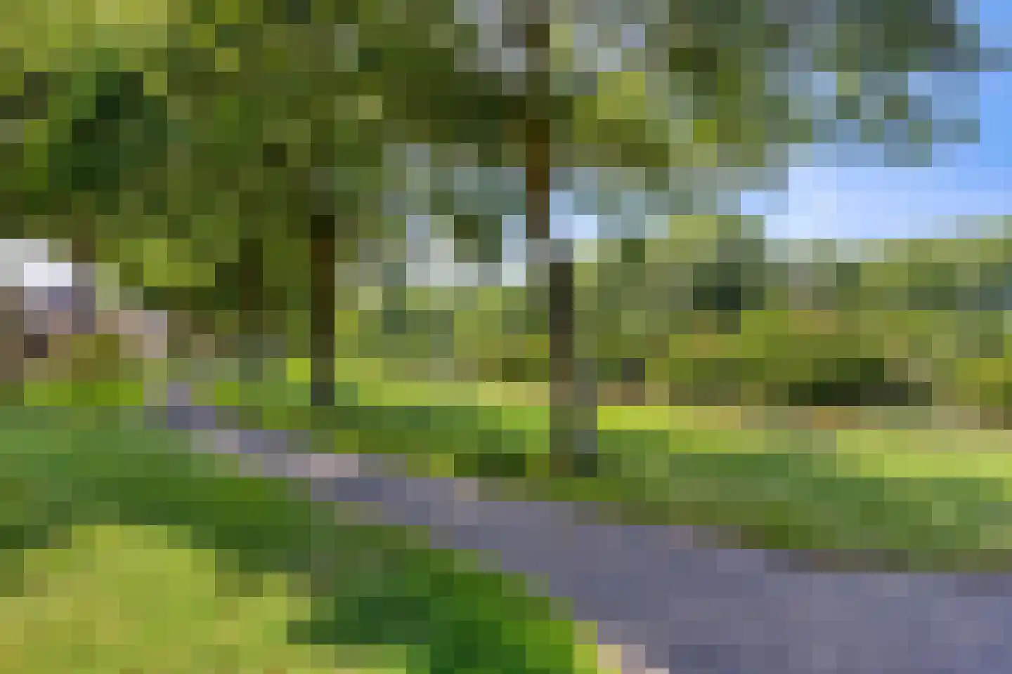 Wilsonstraat 18 Goes thumbnail 42