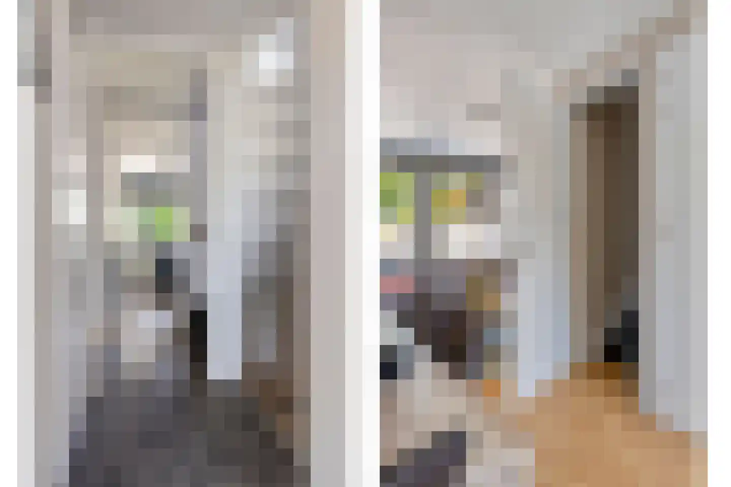 Wilsonstraat 18 Goes thumbnail 6