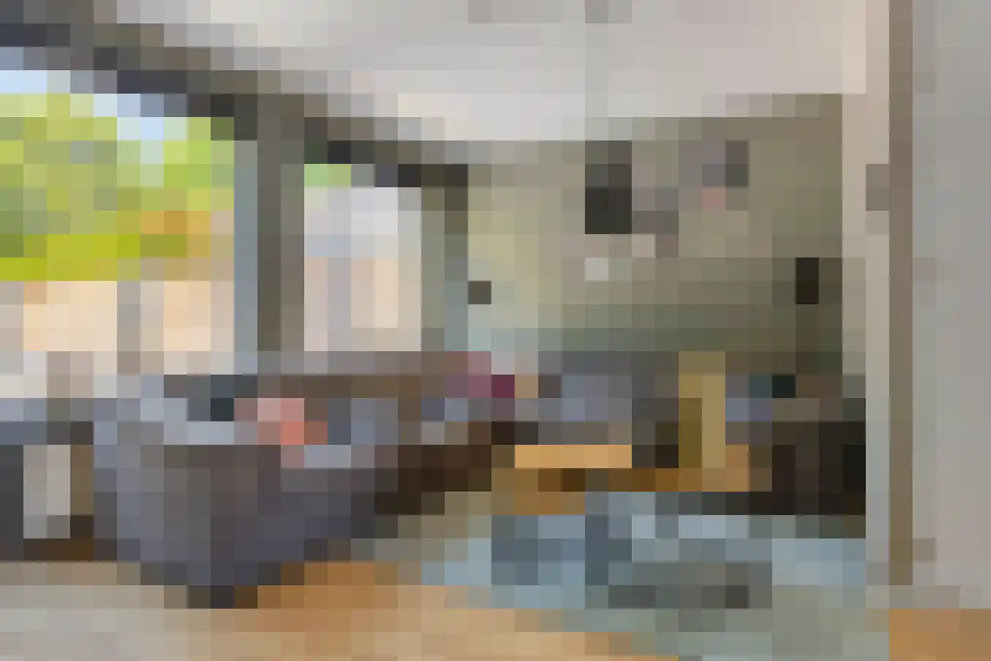 Wilsonstraat 18 Goes thumbnail 8