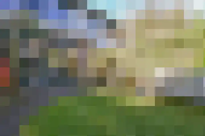 Wilsonstraat 185 Hoofddorp thumbnail 20