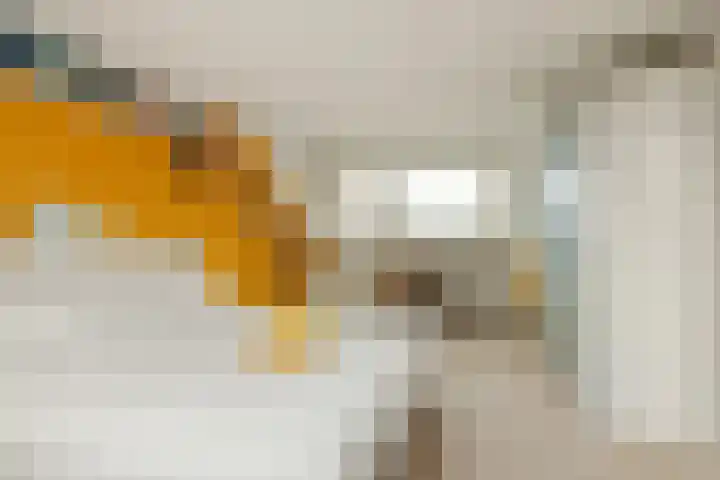 Wilsonstraat 185 Hoofddorp thumbnail 33