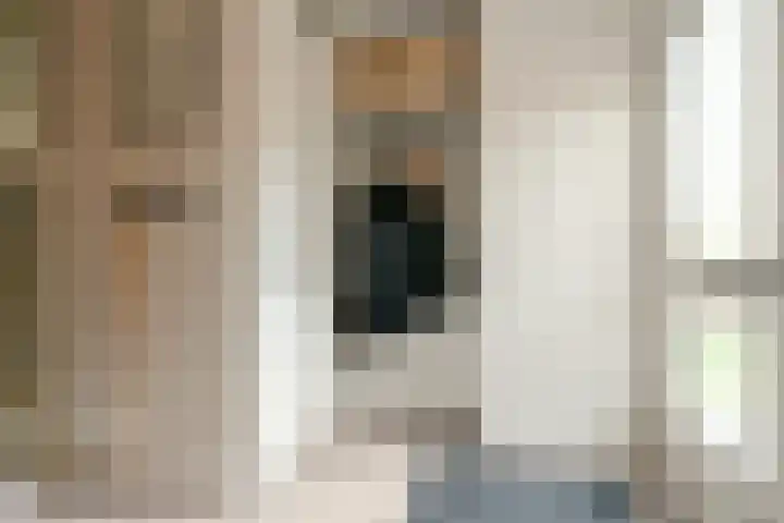 Wilsonstraat 185 Hoofddorp thumbnail 4