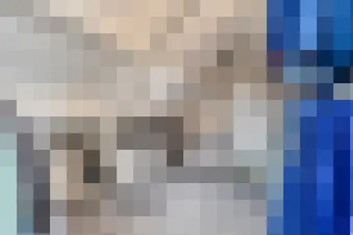 Wilsonstraat 19 Goes thumbnail 21
