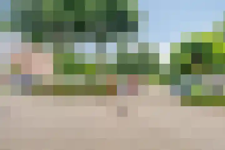 Wilsonstraat 19 Goes thumbnail 28