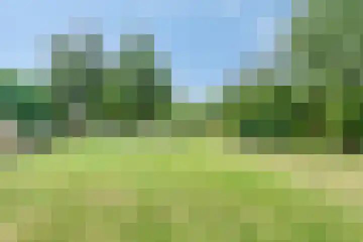 Wilsonstraat 19 Goes thumbnail 30