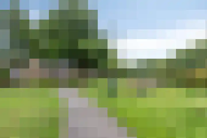 Wilsonstraat 19 Goes thumbnail 31