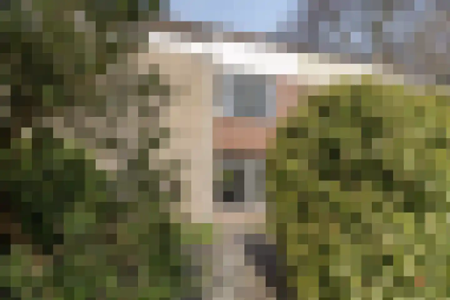 Wilsonstraat 191 Hoofddorp thumbnail 4
