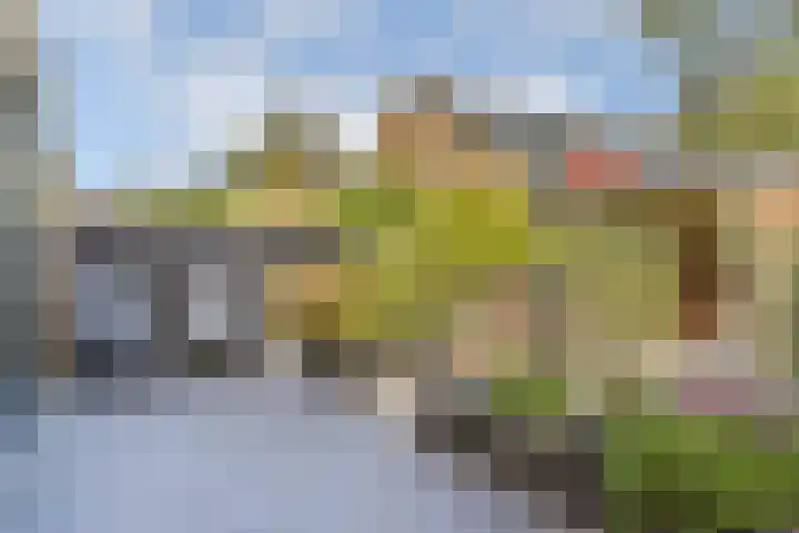 Wilsonstraat 201 Hoofddorp thumbnail 16