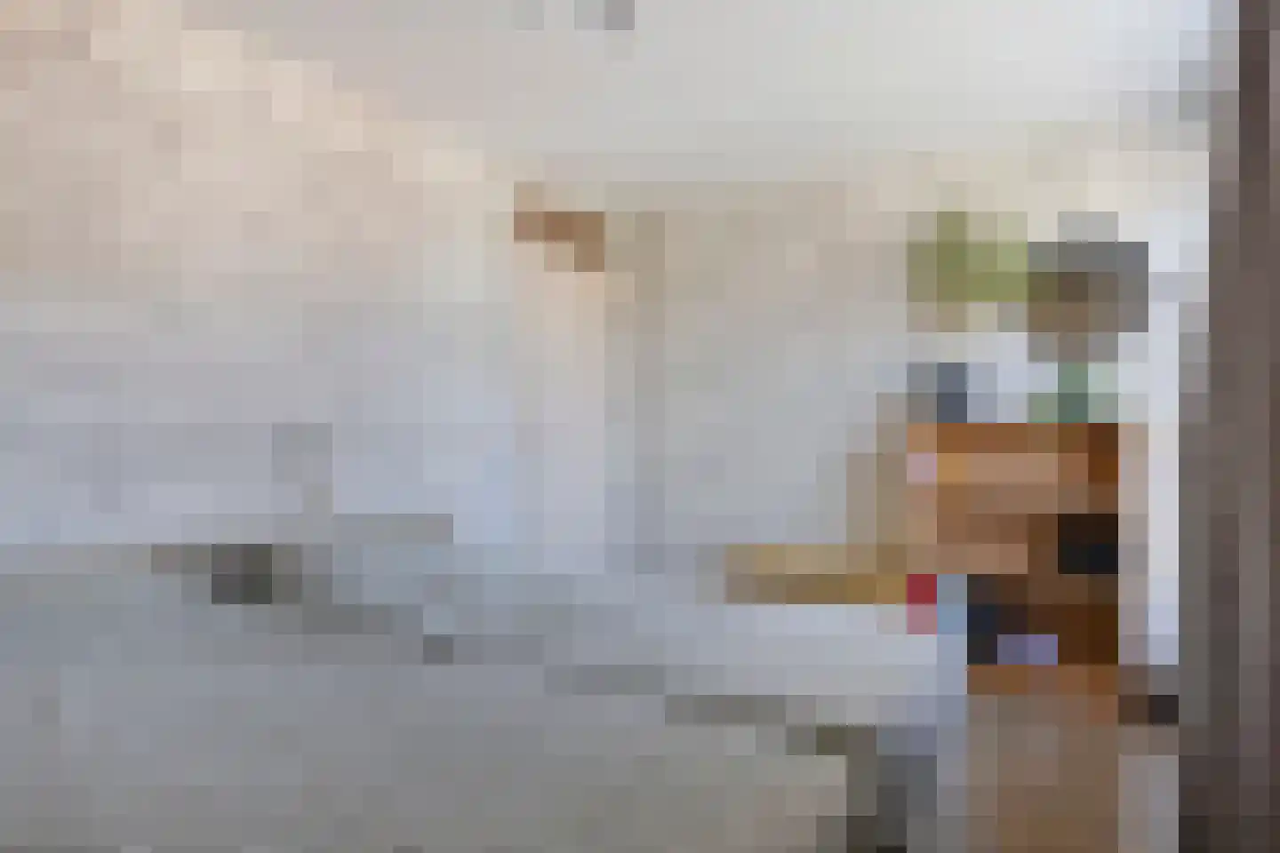 Wilsonstraat 21 Goes thumbnail 14