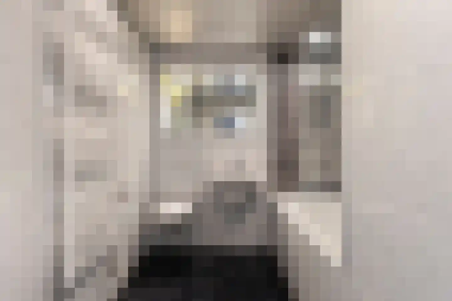 Wilsonstraat 21 Goes thumbnail 15