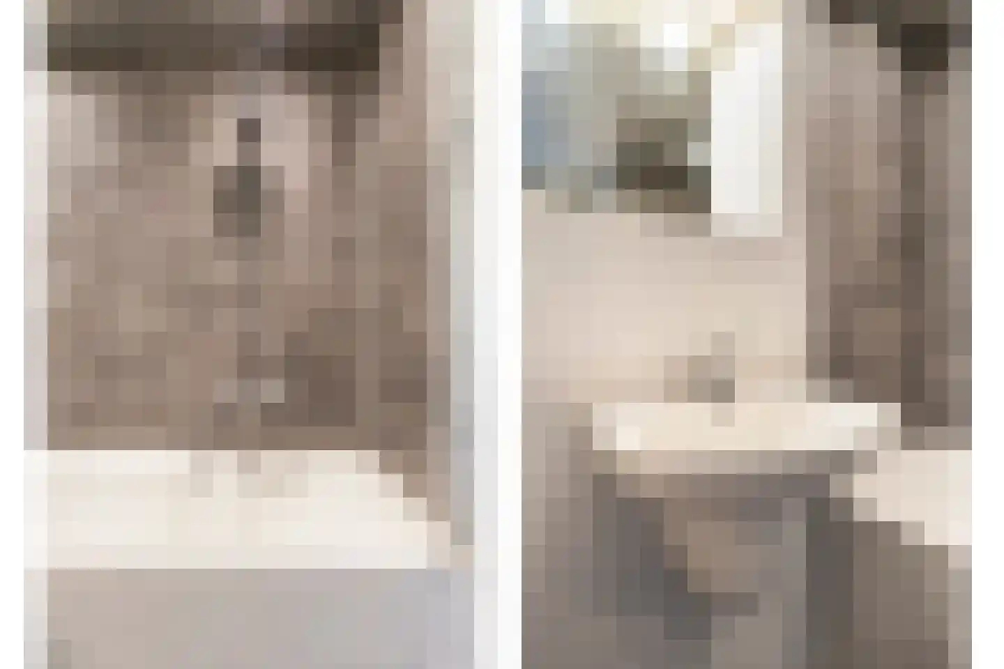 Wilsonstraat 21 Goes thumbnail 16