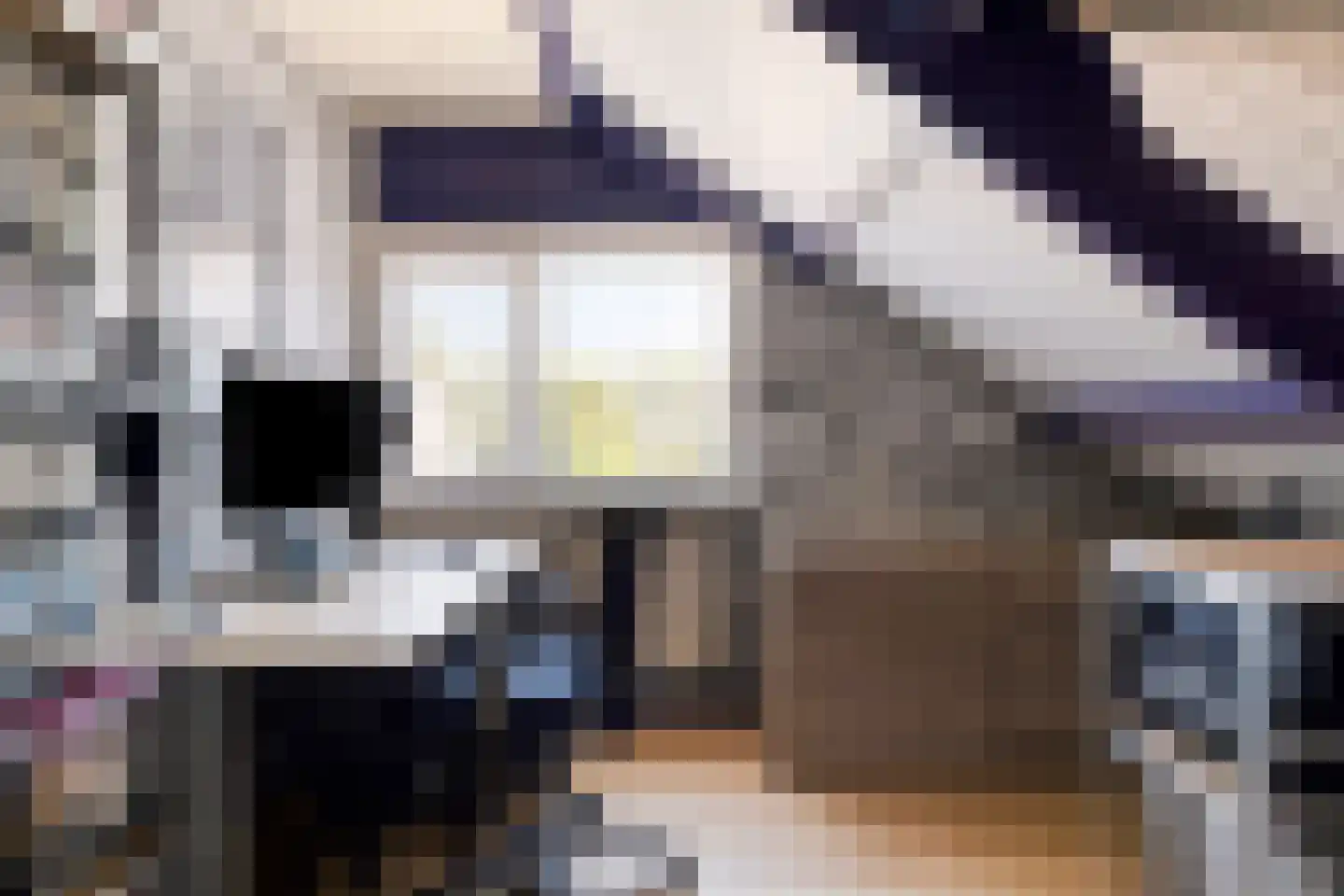 Wilsonstraat 21 Goes thumbnail 20