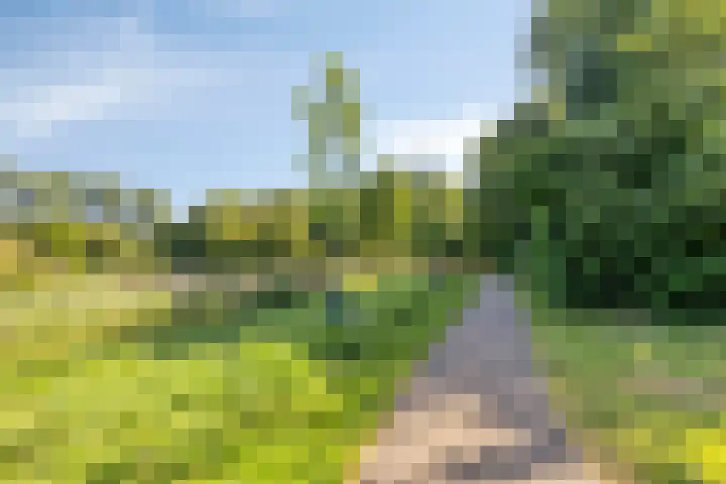 Wilsonstraat 21 Goes thumbnail 30