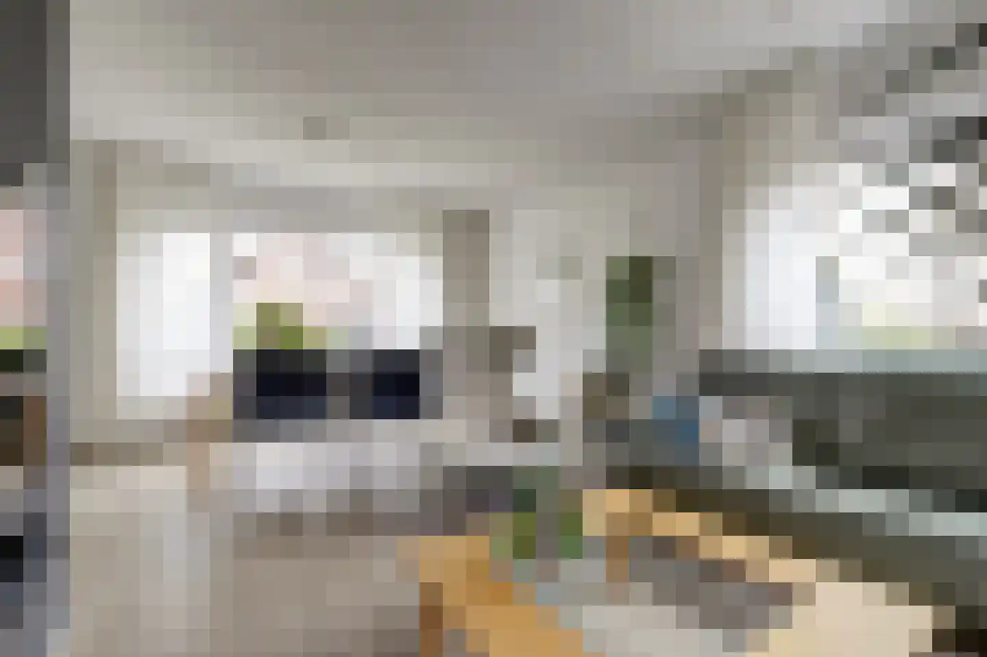 Wilsonstraat 22 Millingen aan de Rijn thumbnail 6