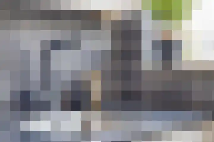 Wilsonstraat 37 Goes thumbnail 12
