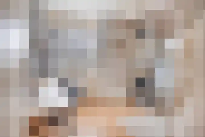 Wilsonstraat 37 Goes thumbnail 16