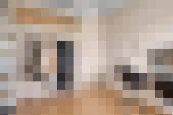 Wilsonstraat 37 Goes thumbnail 17