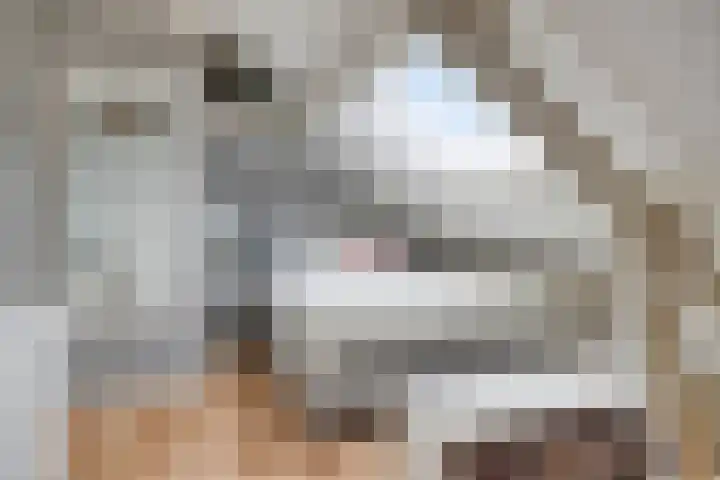 Wilsonstraat 37 Goes thumbnail 23