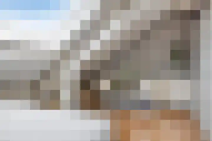 Wilsonstraat 37 Goes thumbnail 24