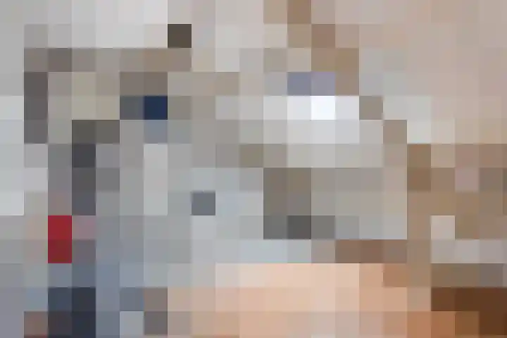 Wilsonstraat 37 Goes thumbnail 25