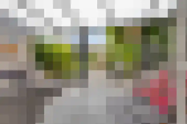 Wilsonstraat 37 Goes thumbnail 27