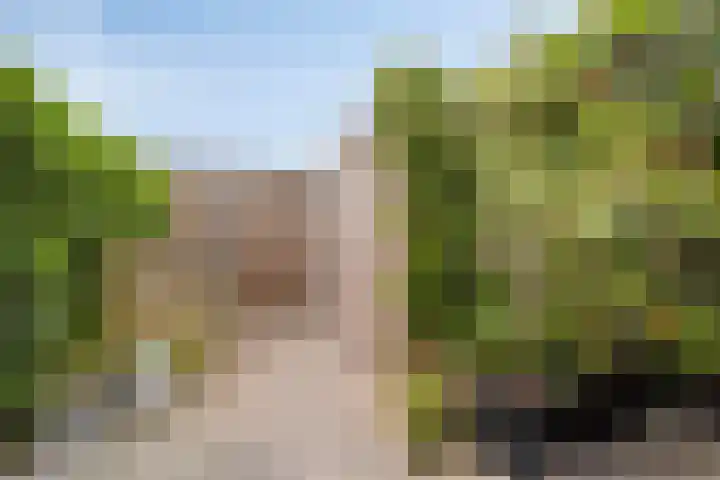 Wilsonstraat 37 Goes thumbnail 29
