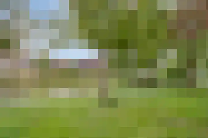 Wilsonstraat 37 Goes thumbnail 32