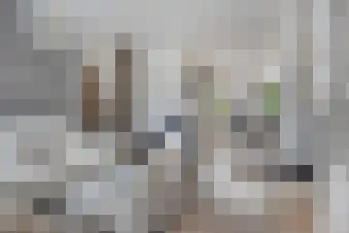 Wilsonstraat 37 Goes thumbnail 4