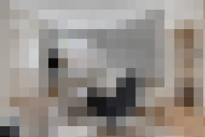 Wilsonstraat 37 Goes thumbnail 5
