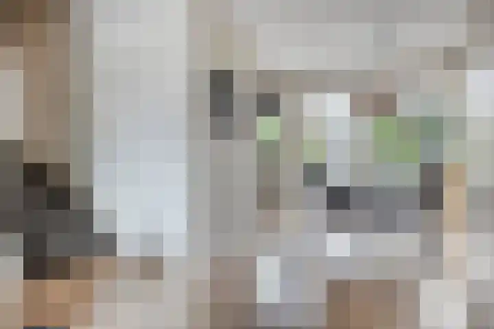 Wilsonstraat 37 Goes thumbnail 6