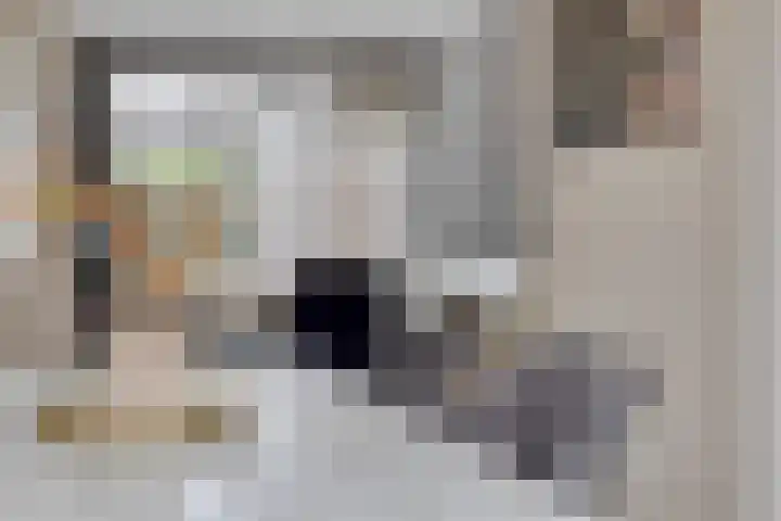 Wilsonstraat 37 Goes thumbnail 7